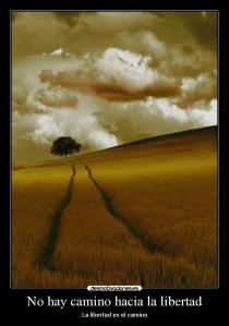 20070605211334camino